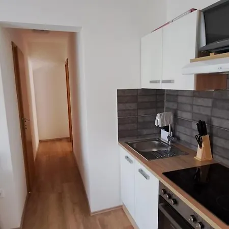 Apartment Apartma Bine *